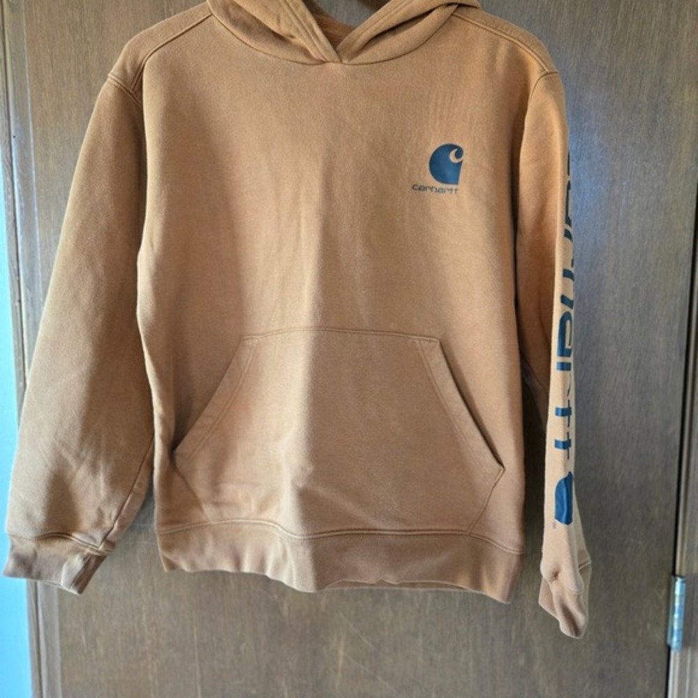 Carhartt Kids Brown Logo Graphic Pullover Hoodie L 14-16 TS6272-B